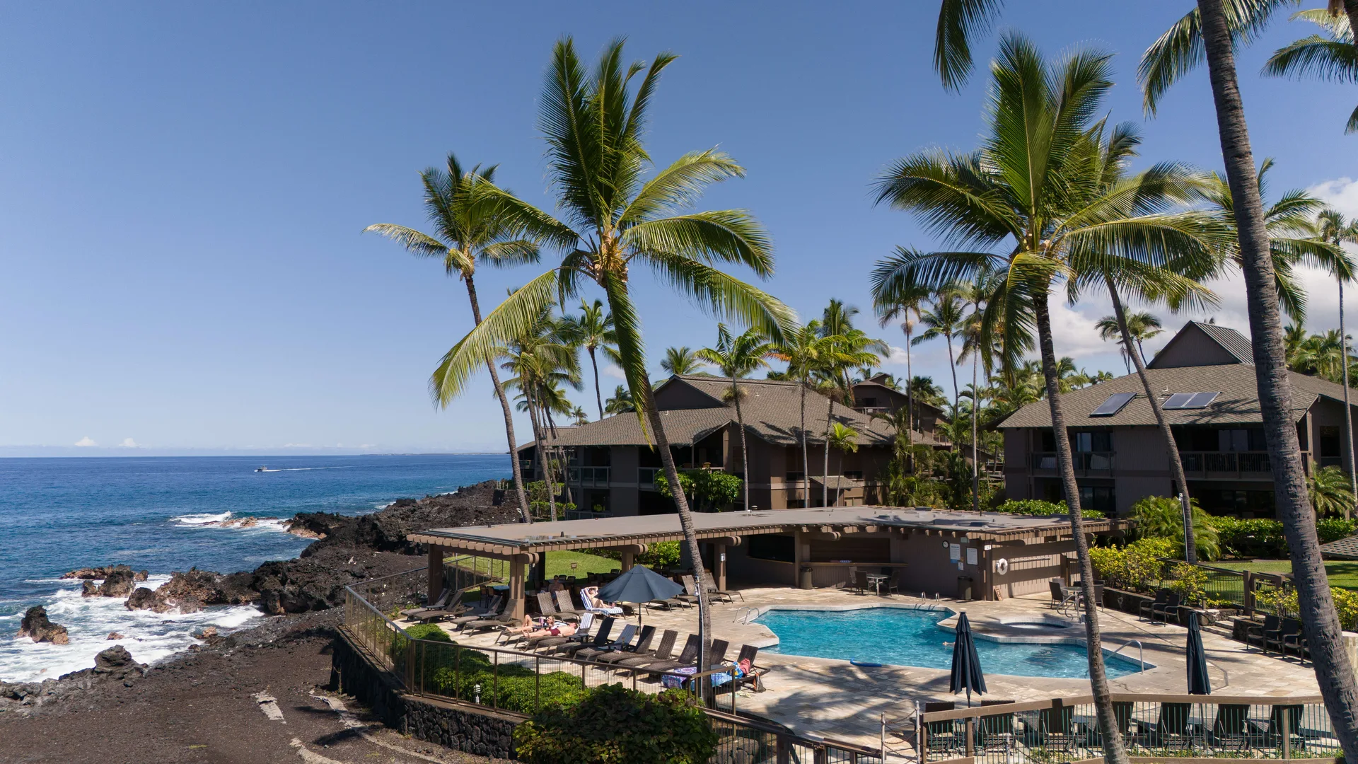 Oceanfront pool and palm trees from above