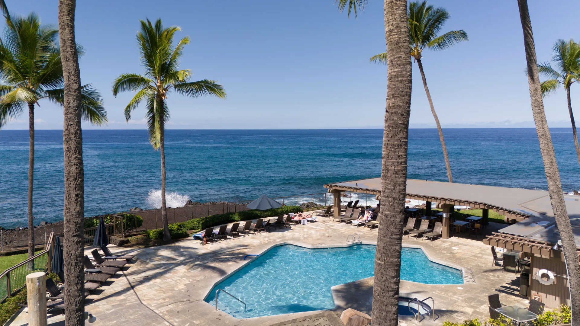 Oceanfront pool with palms and ocean