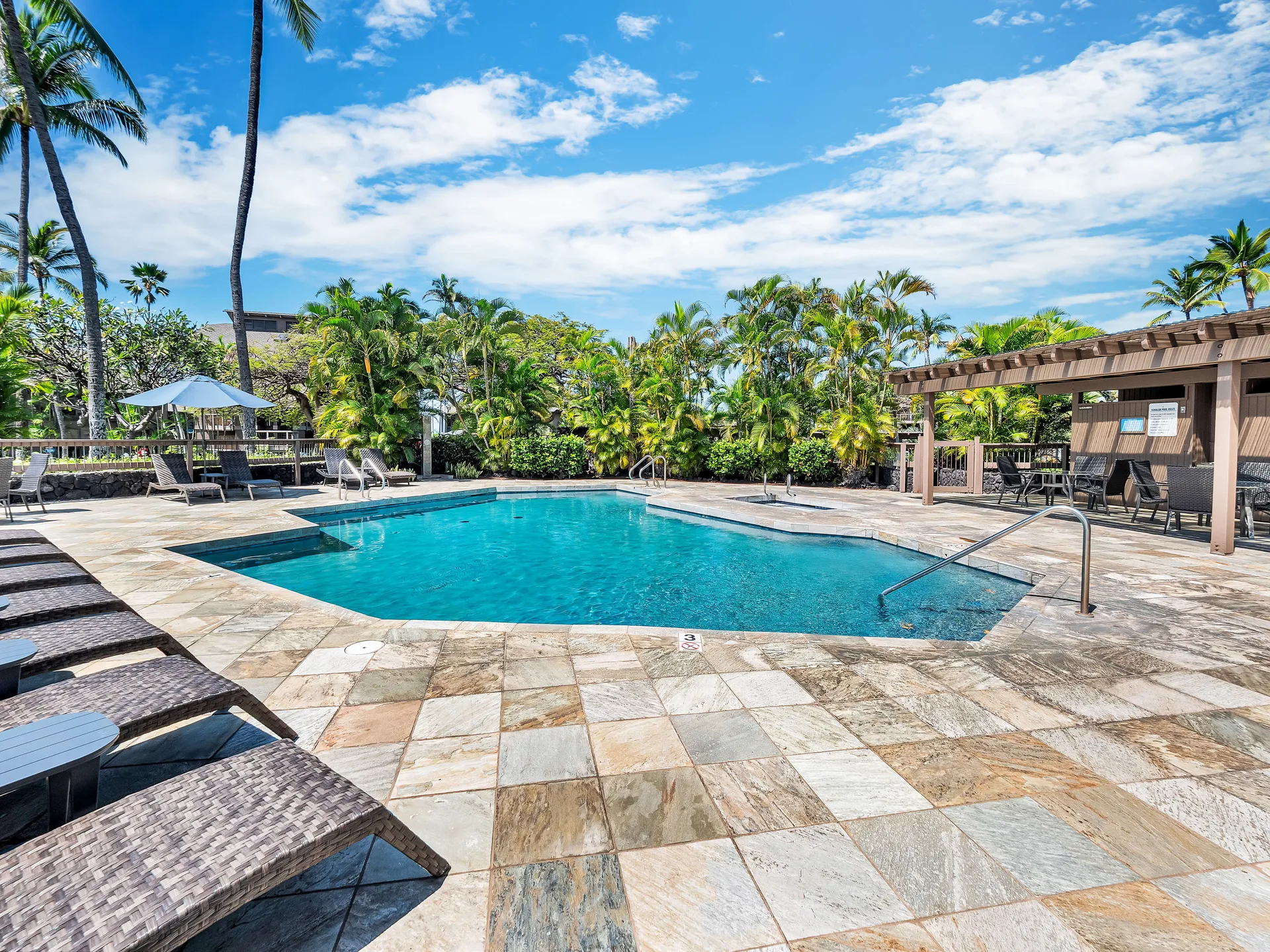 Resort pool surrounded by tropical palms