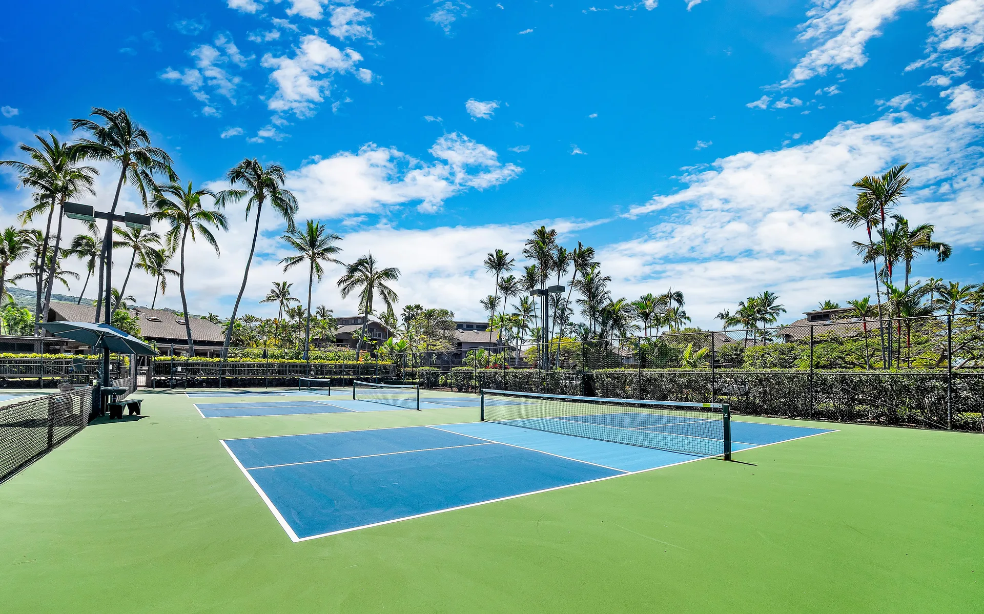 Tennis and pickleball courts
